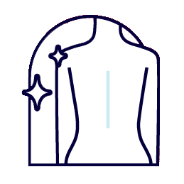 spine